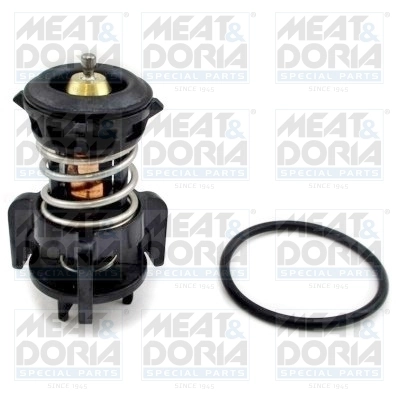 Thermostat, coolant
